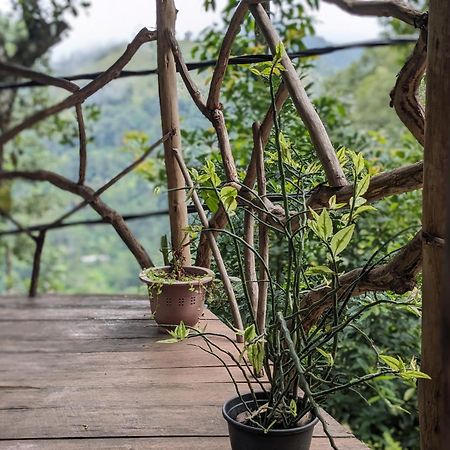 Ella Nature Nest Ngoại thất bức ảnh