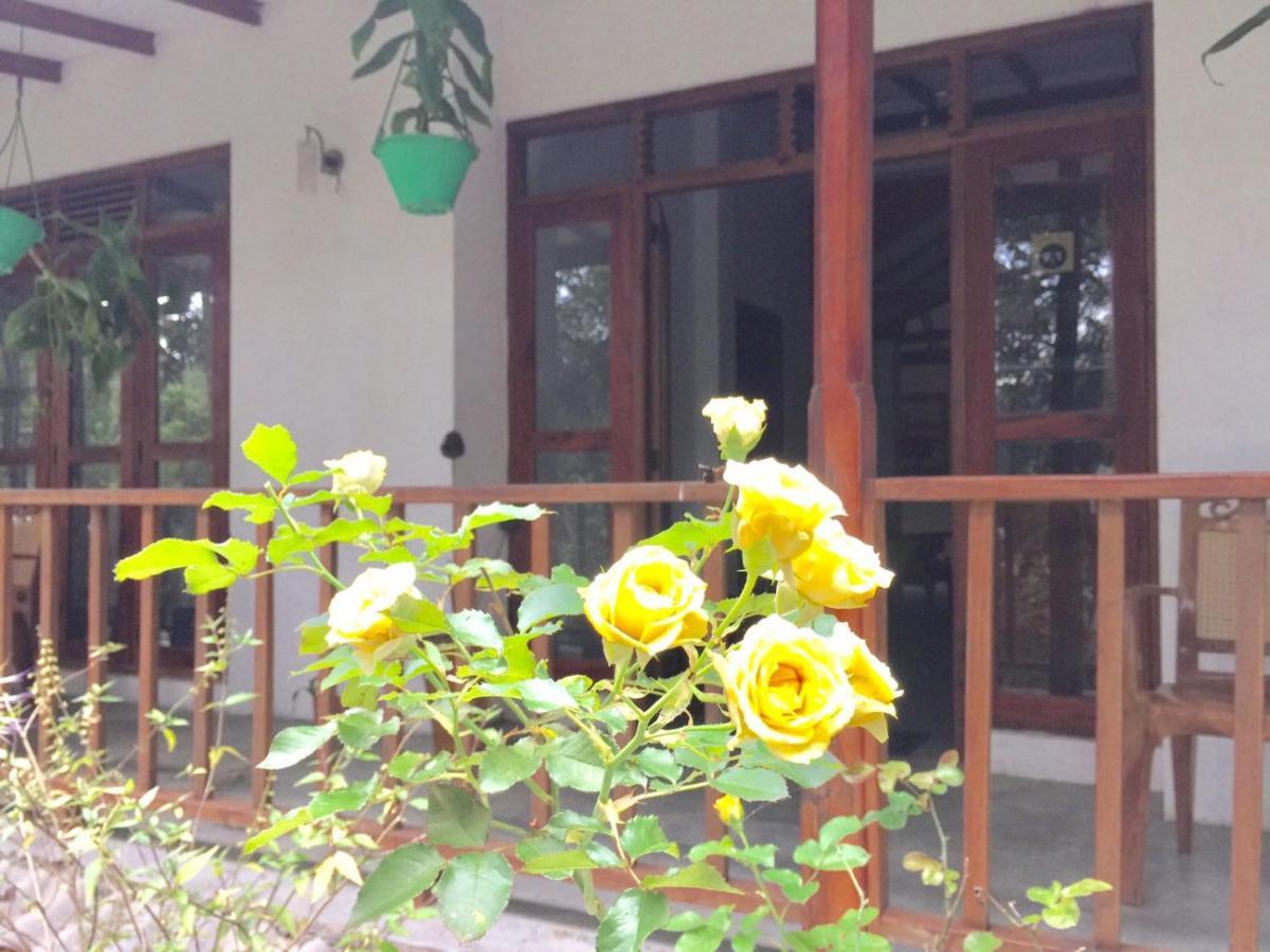Ella Nature Nest Ngoại thất bức ảnh