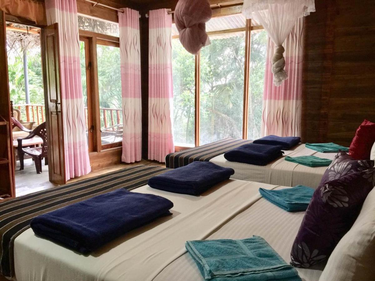 Ella Nature Nest Ngoại thất bức ảnh