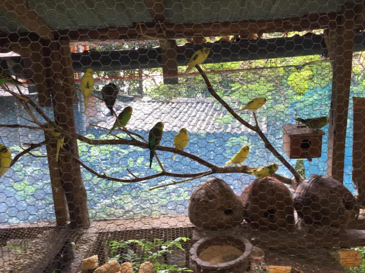 Ella Nature Nest Ngoại thất bức ảnh