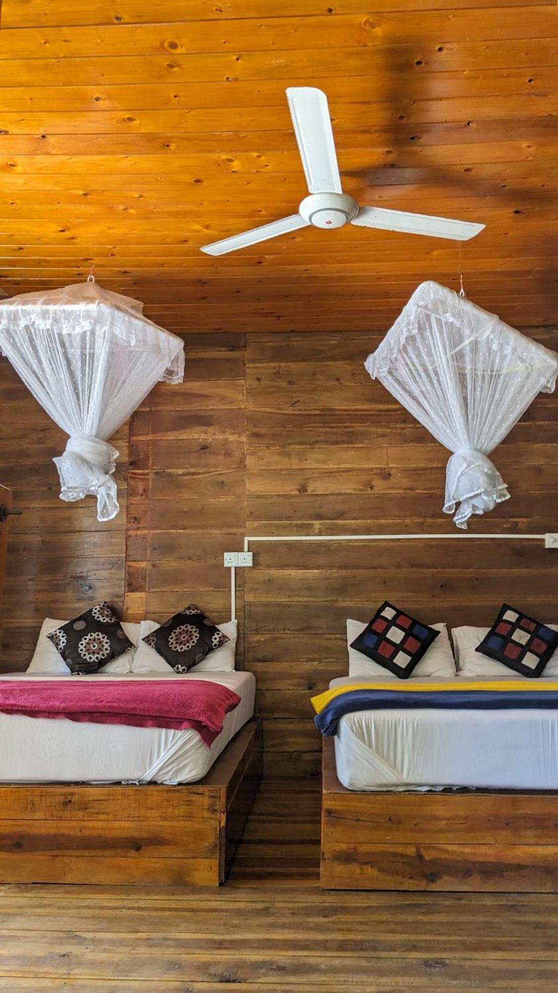 Ella Nature Nest Ngoại thất bức ảnh