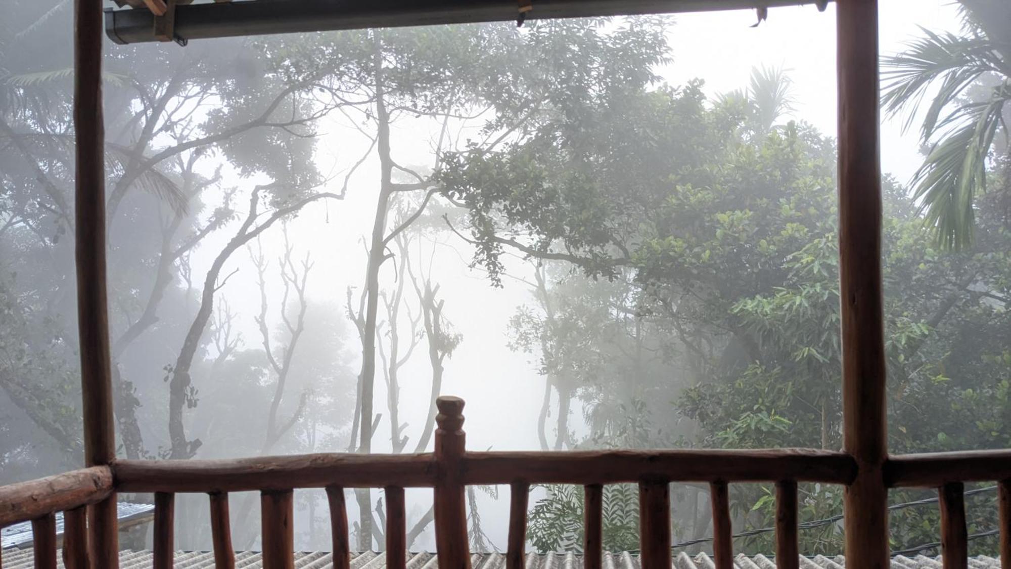 Ella Nature Nest Ngoại thất bức ảnh