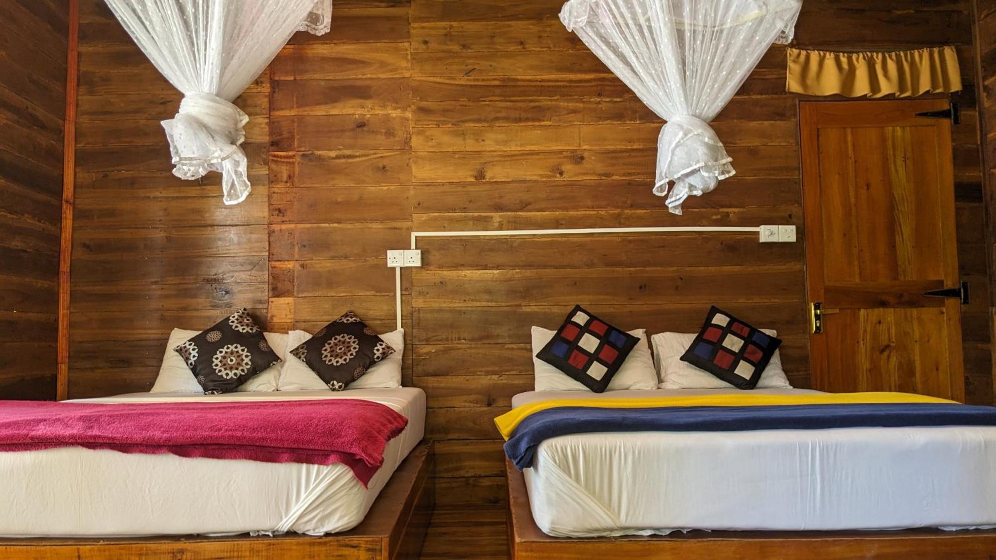 Ella Nature Nest Ngoại thất bức ảnh