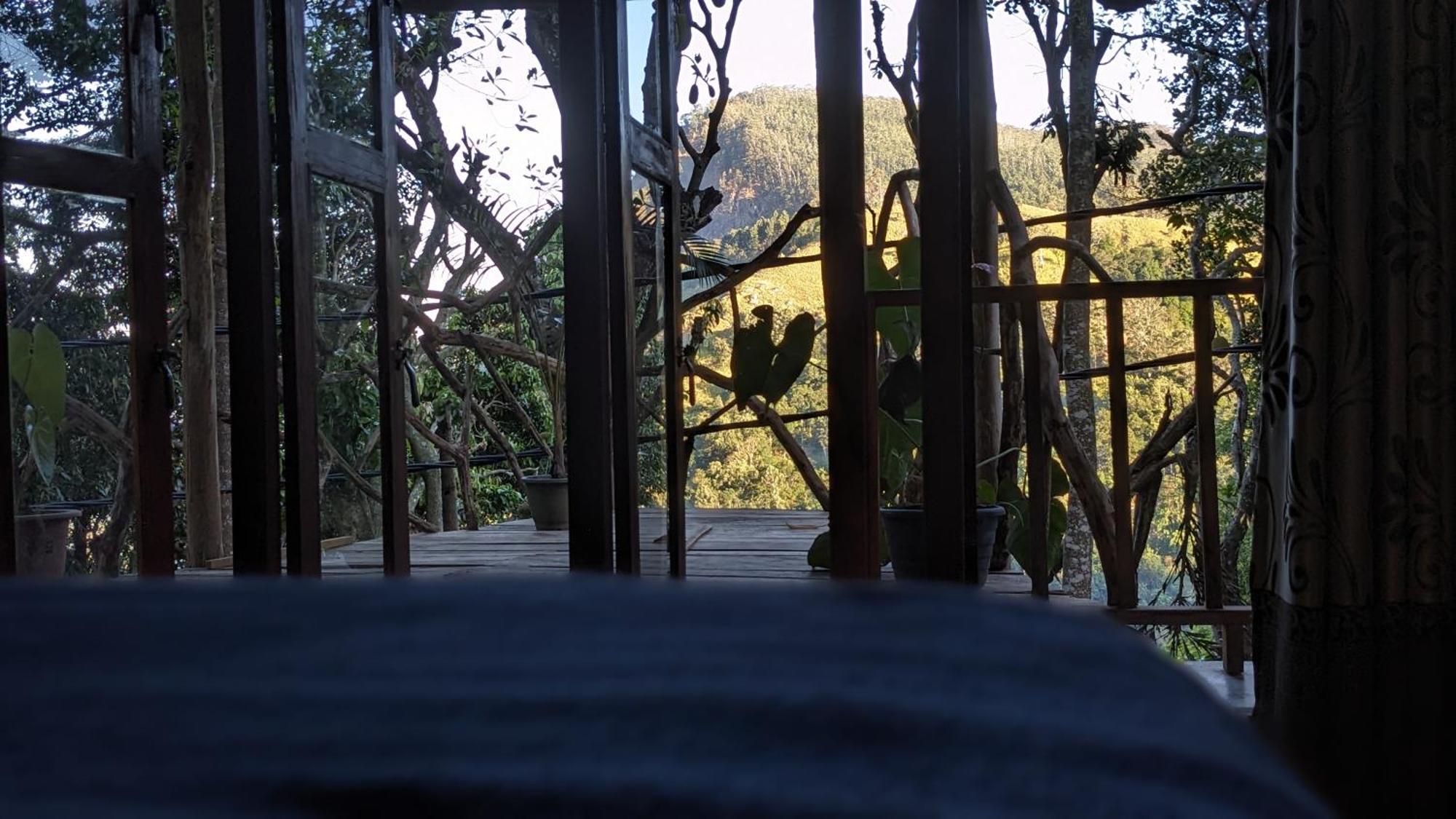 Ella Nature Nest Phòng bức ảnh