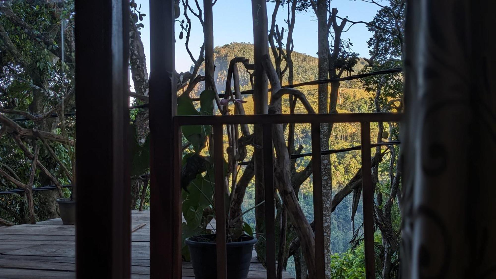 Ella Nature Nest Phòng bức ảnh