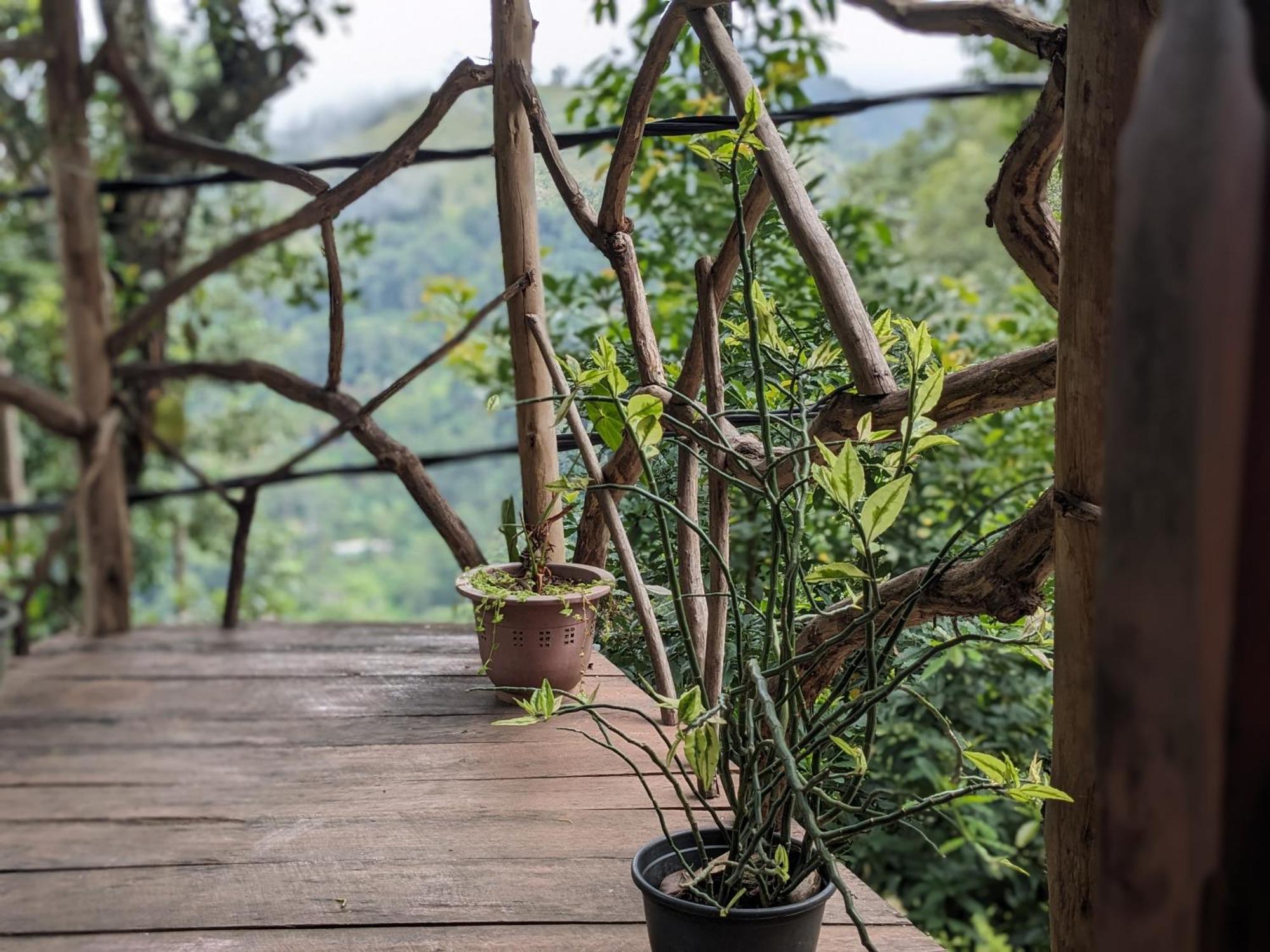 Ella Nature Nest Ngoại thất bức ảnh